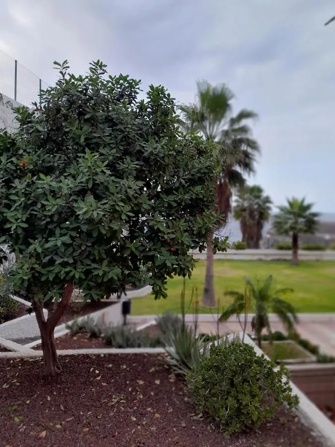 Monis Rooms,Apartment Holidays Green Tenerife Playa San Marcos Icod De Los Vinos Apartment