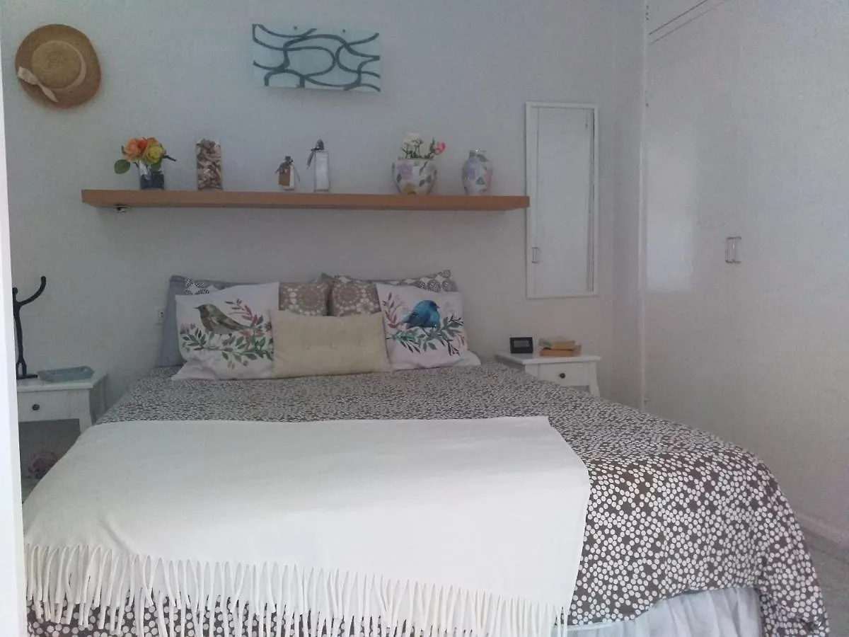 Monis Rooms,Apartment Holidays Green Tenerife Playa San Marcos 伊科德·德·洛斯·维诺斯 0*,